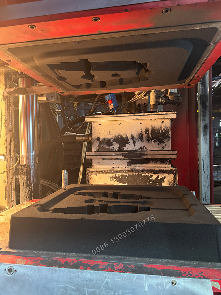 専用　極上漁師　723g 高さ20.8㎝　東Y7-0917⭐︎2Fトニヒル 第六十三佐賀勝丸 | だんだんのブログⅢ